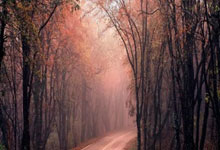 塞维利亚客场不敌对手，遭遇挑战