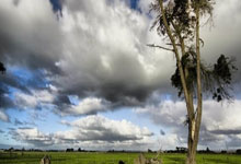 摩纳哥女足意外爆冷，备战世界杯不容大意