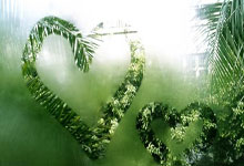 泰达逆袭：天津泰达队在比赛中取得胜利，实现了反击